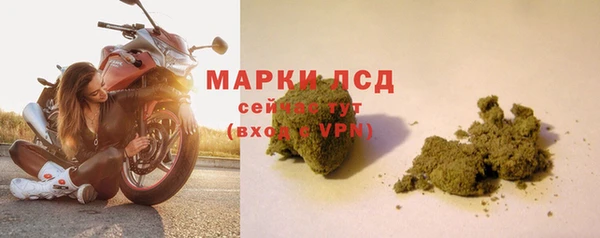 ПСИЛОЦИБИНОВЫЕ ГРИБЫ Бородино