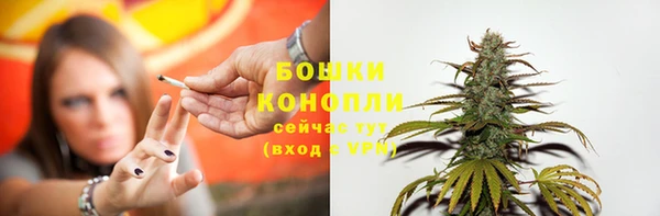дживик Бронницы