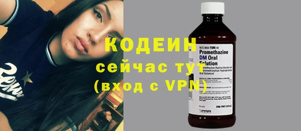 дживик Бронницы