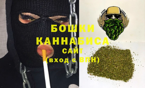 дживик Бронницы