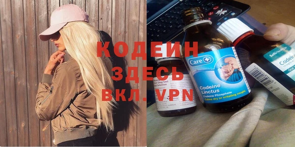 дживик Бронницы