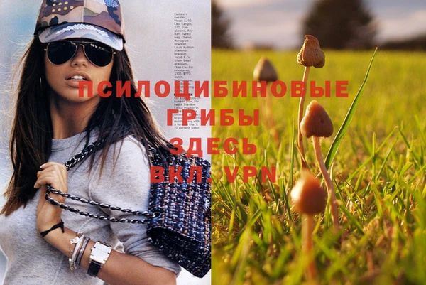ПСИЛОЦИБИНОВЫЕ ГРИБЫ Бородино