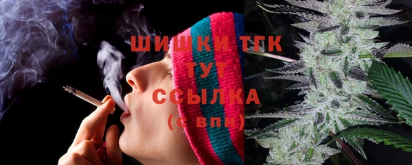 дживик Бронницы