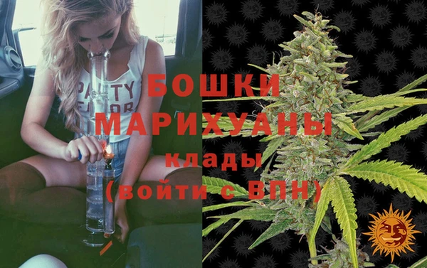 дживик Бронницы