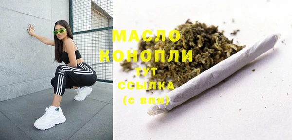 дживик Бронницы