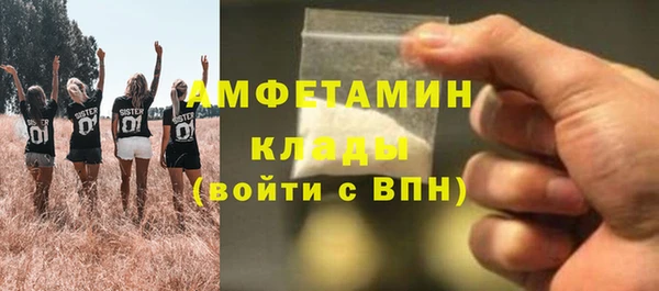 дживик Бронницы
