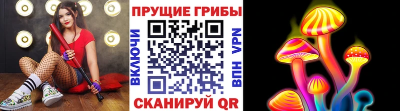 Псилоцибиновые грибы мицелий  Юрюзань 